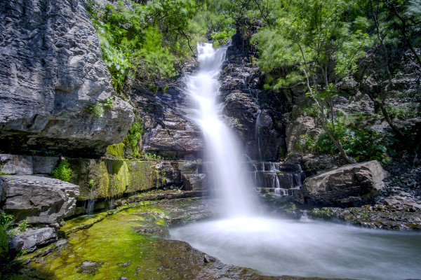 Անհատական / Խոսրովի արգելոց
