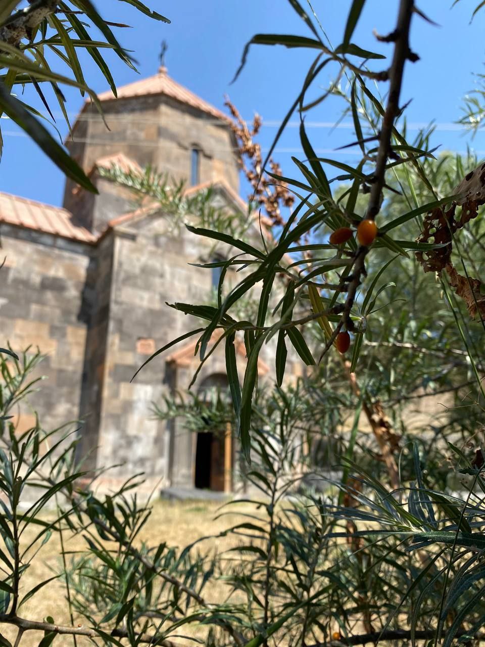 Չիչխանավանք